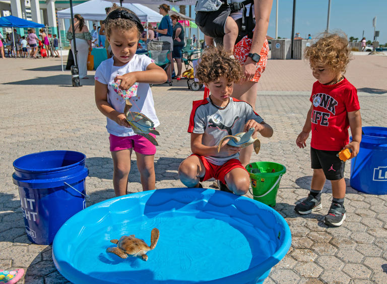 Viora, Rolan and Roam Bathold untangle rubber sea turtles during the Sea Turtle Baby Shower at Pensacola Beach Saturday, June 3, 2023. The baby shower educates visitors and locals about the nesting habits of sea turtles learning the “do’s and don’ts” about how we can help nesting sea turtles as they return home to our beaches this nesting season. It also included 20 exhibitors teaching water safety, the beach ecosystem and other animals who call the beach their home.