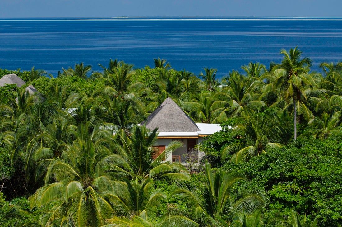<p>Swim among the coconut trees in what may be the Maldives’ highest treetop pool villa. A 30-minute seaplane ride from Velana International Airport, <a href="https://www.amilla.com/">Amilla Maldives</a> has dreamy one- or two-bedroom treehouse options. You can sip Sri Lankan tea from your balcony while the birds chirp in the surrounding trees. After a dip in the glass-walled pool, head down to a beach area that's reserved especially for the resort’s tree-dwellers.</p><p><a class="body-btn-link" href="https://www.amilla.com/">BOOK NOW</a></p>