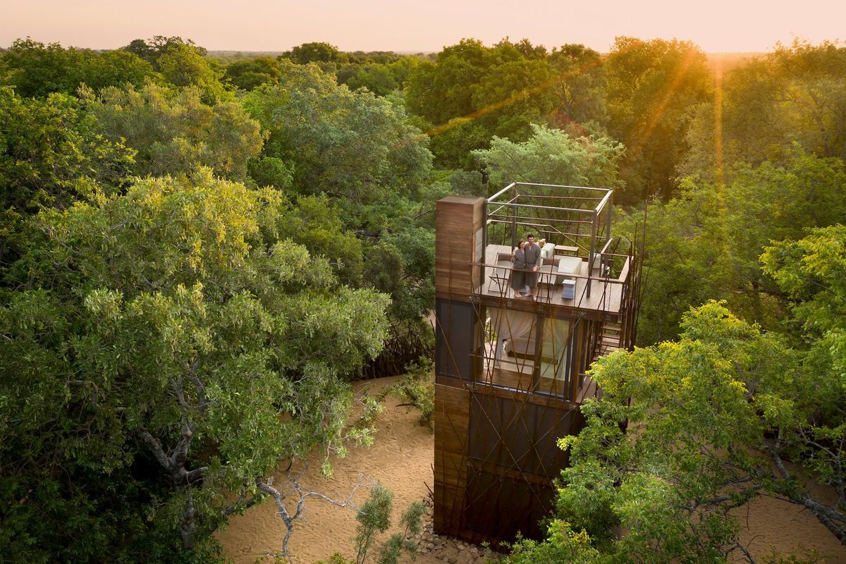 <p>If you're going on a safari, why not go big? Book a stay at Ngala Safari Lodge or Ngala Tented Camp in andBeyond's private Ngala Game Reserve (part of Kruger National Park), and add on a night at its Treehouse, seen here. The three-level structure has a weatherproof bedroom with 360-degree views in the center and a one-of-a-kind roof deck for wine at sunset or a starlit dinner. It may look a bit rustic, but inside is pure luxury, with a king-size bed, stocked bar, and snacks ideal for a honeymoon or bucket-list occasion. Did we mention <em>Ngala</em> means lion? Yes, you'll see them.</p><p><a class="body-btn-link" href="https://www.andbeyond.com/experiences/africa/south-africa/kruger-national-park/ngala-private-game-reserve/ngala-treehouse/">BOOK NOW</a></p>