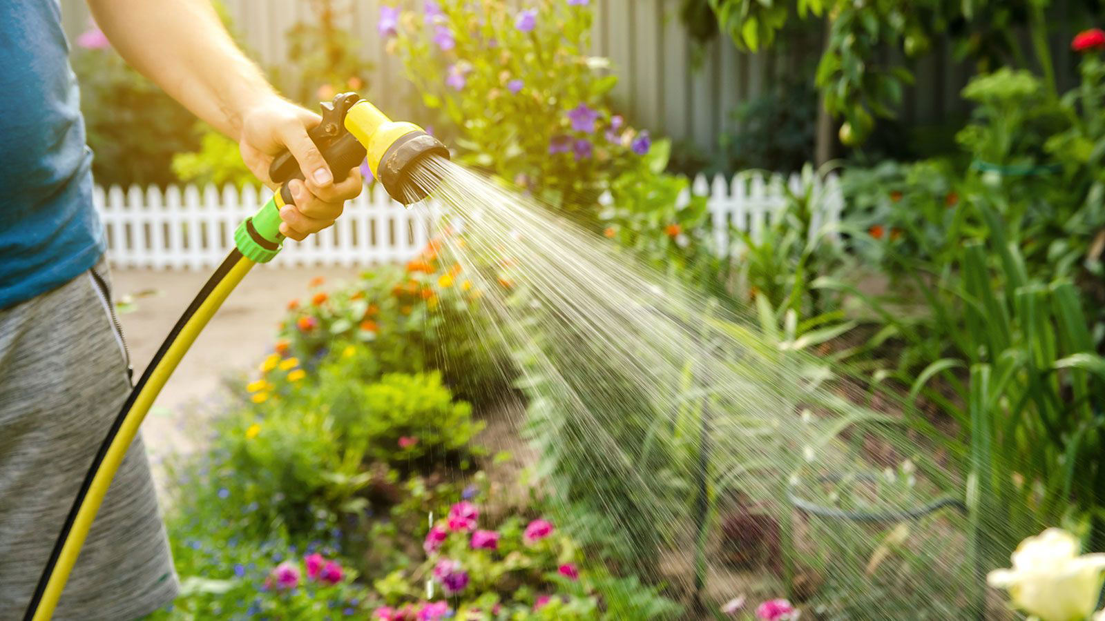 9 garden water-saving tips to help parched yards – and save on your ...