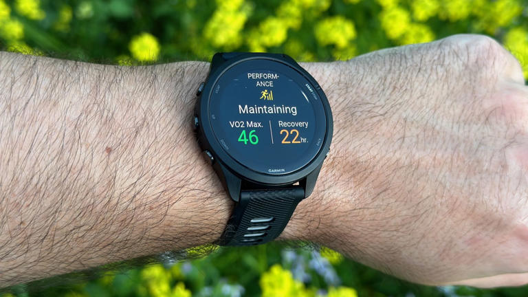 Leaked Garmin Forerunner 165 has nearly everything thrifty runners ...