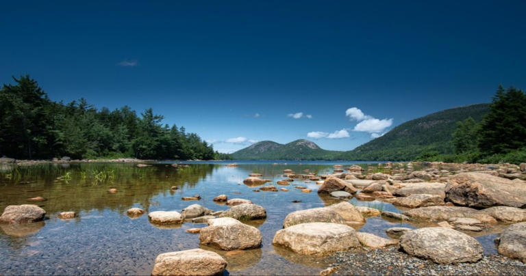 The 10 Best Dog-Friendly Hikes In Acadia National Park