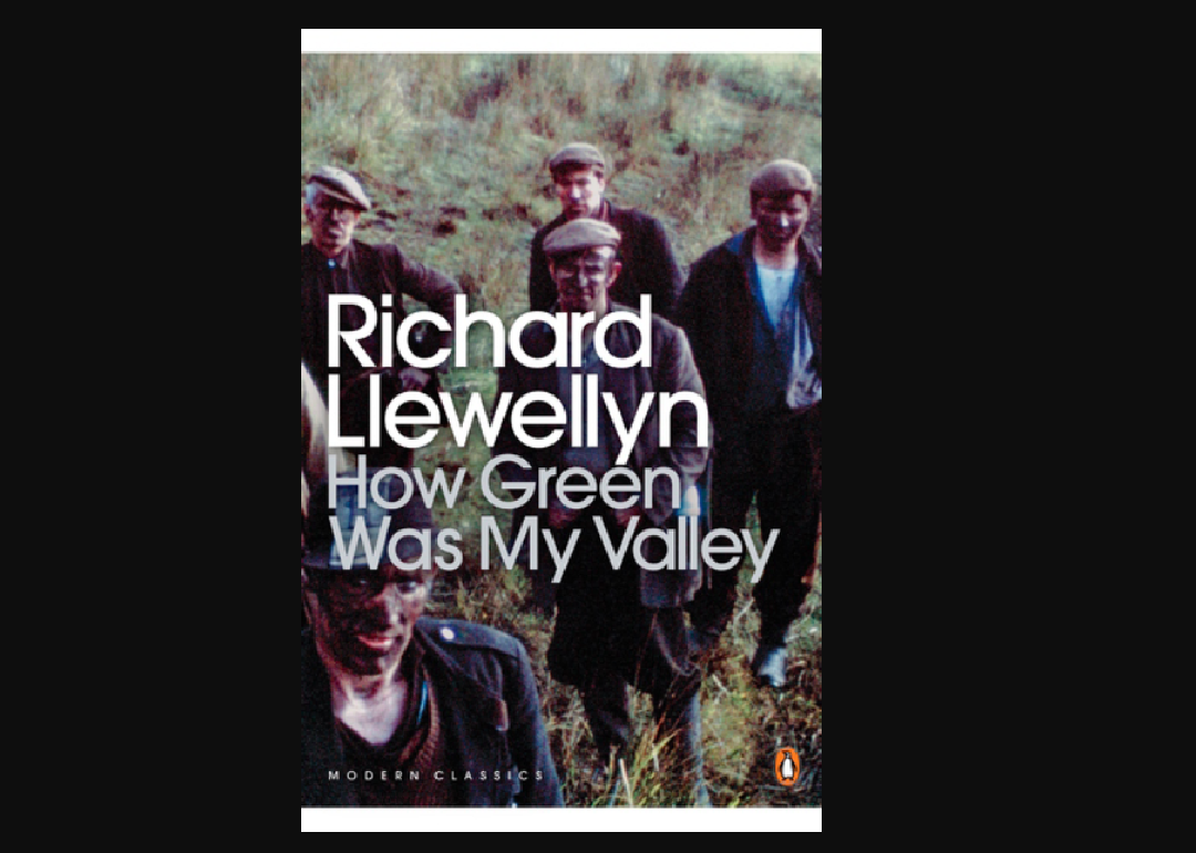 <p>This is the story of a South Wales mining family, centering on the struggles and successes of families who work in the coal mines. Published during World War II, "How Green Was My Valley" resonated with its audience as the mining industry suffered a labor shortage due to the loss of men to the war effort. The book was later <a href="https://thestacker.com/stories/2308/ranking-best-picture-winners-every-year#35">adapted into a film by John Ford</a> that earned an Oscar for Best Picture, beating out "Citizen Kane."</p>