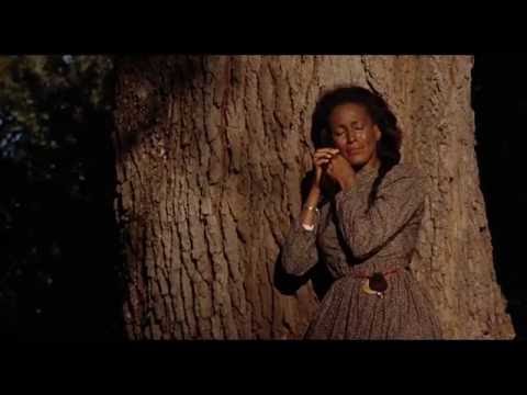 <p>The 1991 independent film, which was written, directed, and co-produced by Julie Dash, follows three generations of Gullah women living on Saint Helena Island in 1902. Not only was it the first feature film directed by an African American woman distributed theatrically in the United States, but Arthur Jafa’s cinematography capturing the beauty of coastal life won the top cinematography prize at Sundance that year. The stunning film was later chosen by the Library of Congress for preservation in the United States National Film Registry for being “culturally, historically, or aesthetically significant.”</p><p><a href="https://www.youtube.com/watch?v=zdMxR2M_ddM">See the original post on Youtube</a></p>