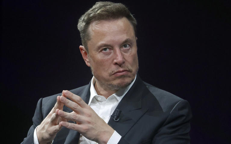 Elon Musk - Chesnot/Getty Images