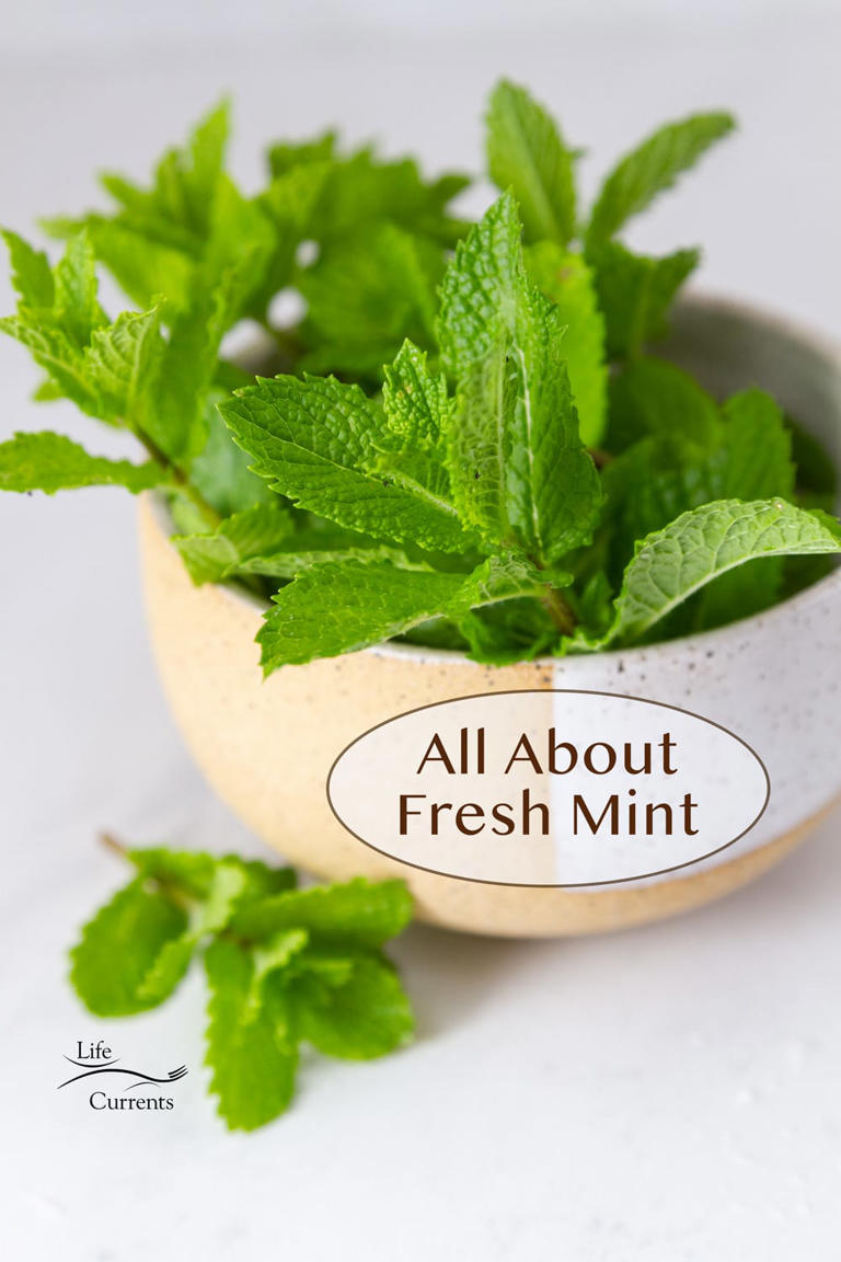 All About Fresh Mint