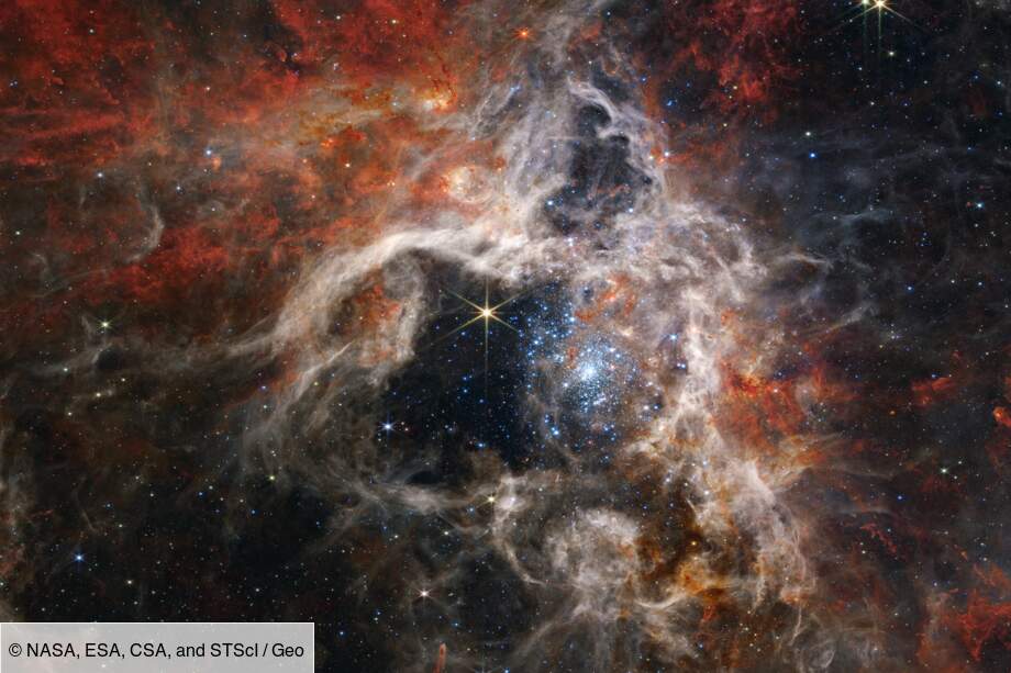 Nébuleuse de la Tarentule