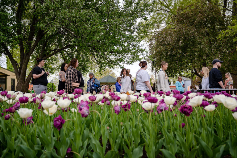 Thousands visit Pella for the annual Tulip Time celebration, Friday, May 5, 2023.