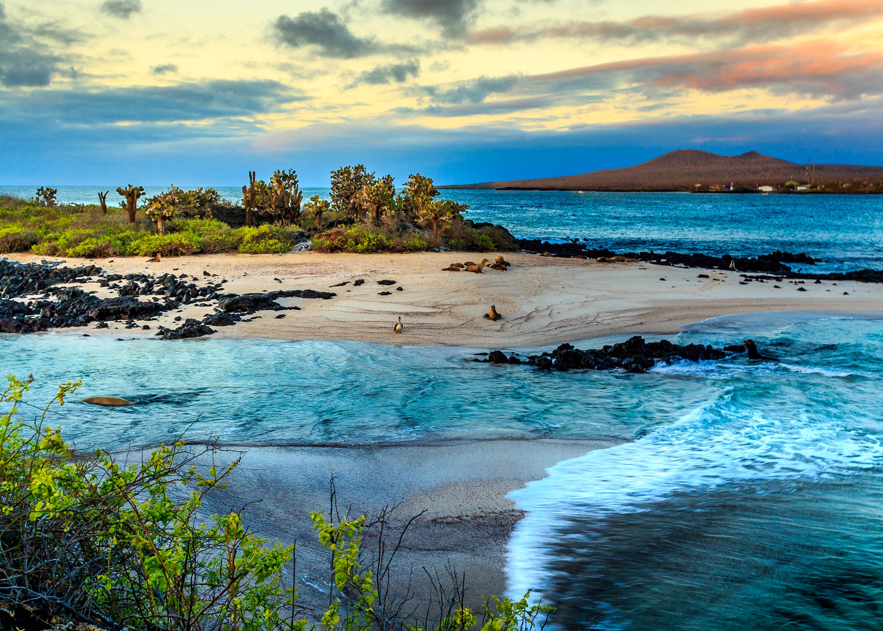 Classic Journeys’ 8-day <a href="https://www.classicjourneys.com/trip/galapagos/">land-based multisport itinerary</a> brings you closer to the <a href="https://www.cntraveler.com/story/why-you-shouldnt-put-off-a-cruise-to-the-galapagos-islands?mbid=synd_msn_rss&utm_source=msn&utm_medium=syndication">Ecuadorian islands’</a> unique wildlife (marine iguanas, warm-water penguins, blue-footed boobies) than most liveaboards. After swimming and kayaking alongside sea lions and sea turtles, trek eight miles to the rim of Sierra Negra, one of the world’s most active volcanoes. Then head over to Santa Cruz Island, where you'll be greeted by 500-pound giant tortoises and manta rays swirling just below the water's surface.<p>Sign up to receive the latest news, expert tips, and inspiration on all things travel.</p><a href="https://www.cntraveler.com/newsletter/the-daily?sourceCode=msnsend">Inspire Me</a>