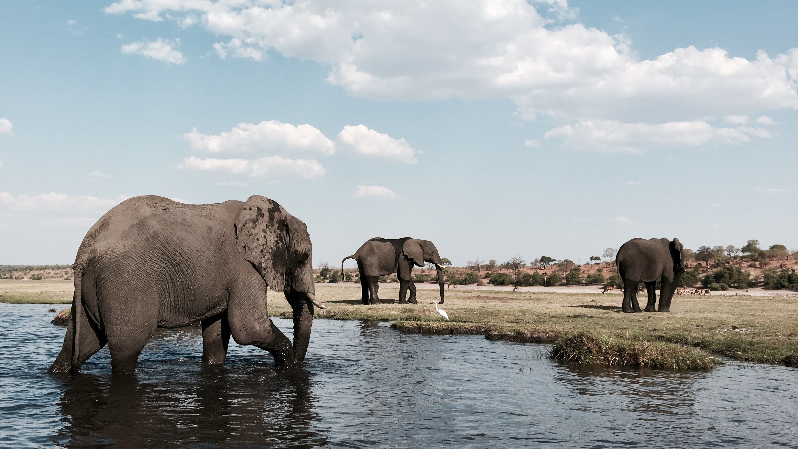 Toast your seventh decade with the trip of a lifetime. <a href="https://www.rothschildsafaris.com/">Rothschild Safaris</a>' 10-day <a href="https://www.rothschildsafaris.com/safaris/classic-botswana-explorer/">Classic Botswana Explorer</a> packs equal parts adventure and luxury, two things you need more of in life. Enjoy game drives in the Chobe National Park, the Moremi Wildlife Reserve, and Okavango Delta, keeping your eyes peeled for elephant herds and perhaps even the zebra migration (depending on the time of year). Also on the agenda: leopard tracking and elephant bush walks. Then, reach for the skies with a helicopter ride to see the delta's winding waters from above, perhaps even catching an aerial view of hippos.<p>Sign up to receive the latest news, expert tips, and inspiration on all things travel.</p><a href="https://www.cntraveler.com/newsletter/the-daily?sourceCode=msnsend">Inspire Me</a>