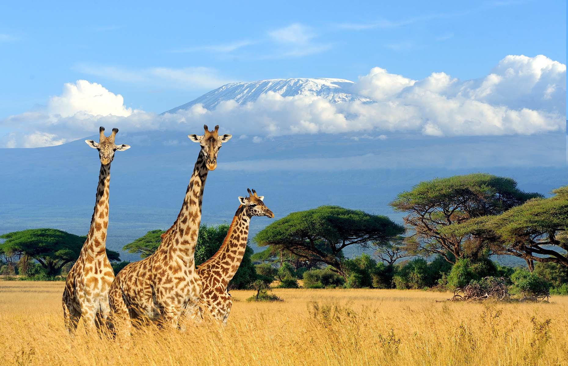 Famous geography and travel myths debunked