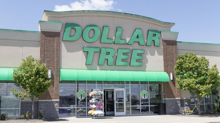 Shop Dollar Tree for These 5 Affordable Items — but Avoid These 5 Other ...