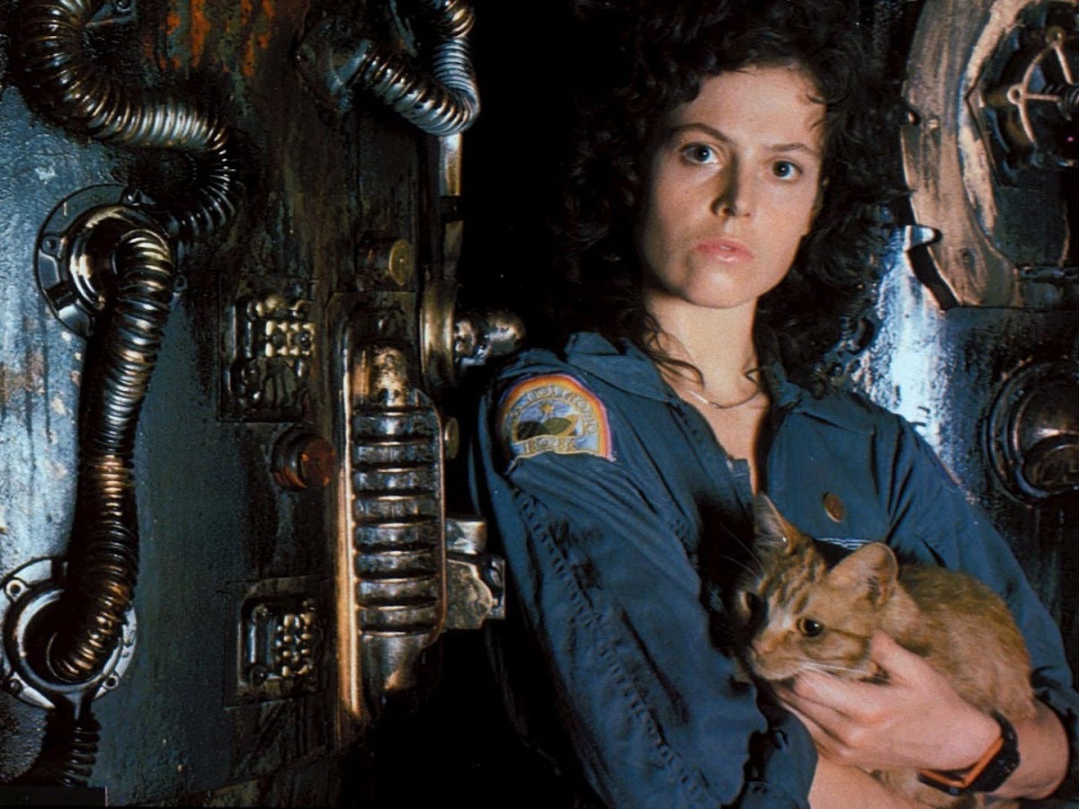 <p>A new "Alien" movie appeared in Disney's latest theatrical release schedule in June 2023.</p><p>This will be the first new "Alien" film release since Disney purchased Fox. It will be directed by Fede Álvarez.</p>