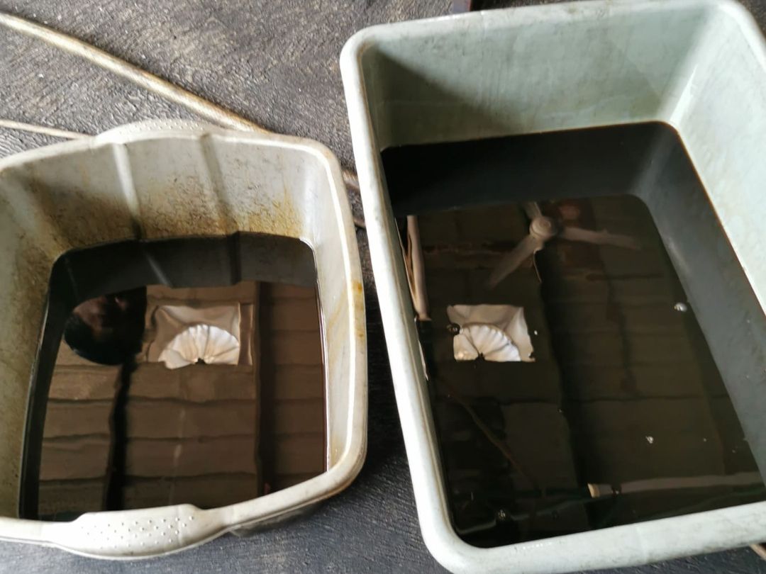 Warta Bandung Barat | Flushing Oli Mesin untuk Mobil Baru: Apakah Perlu Dilakukan?