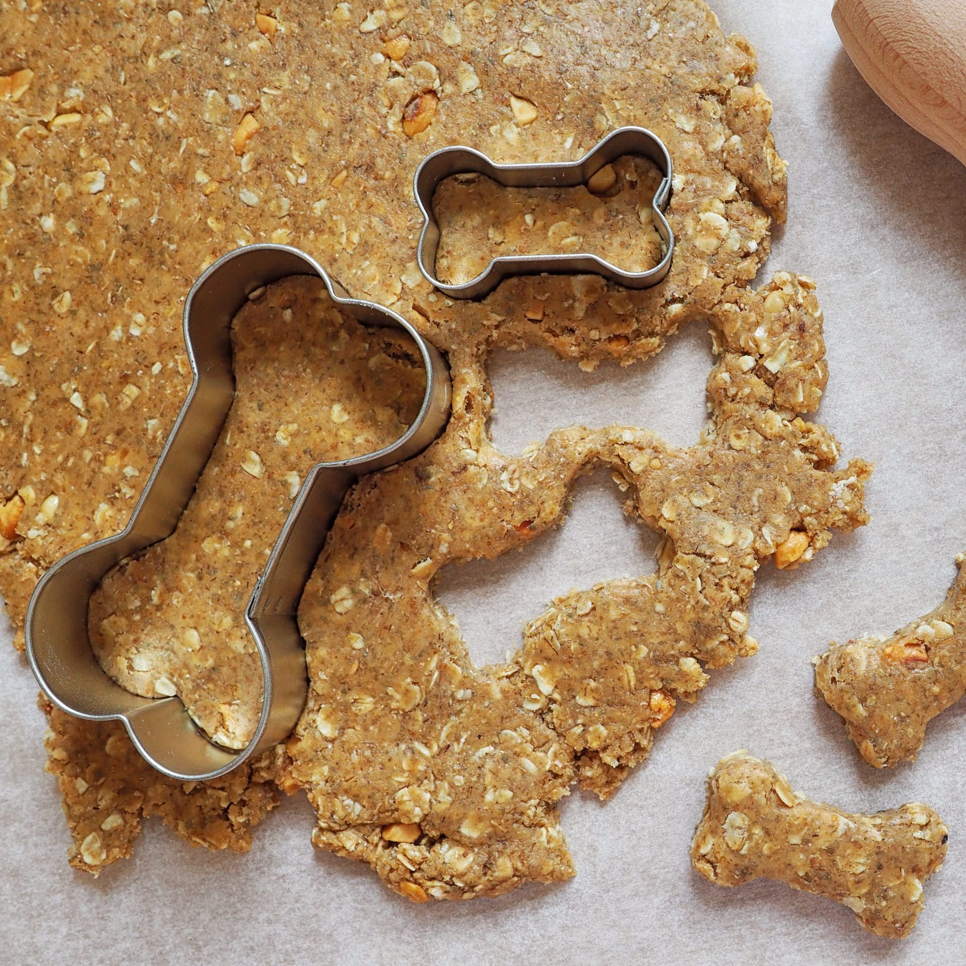 8 Healthiest Dog Treats, According to Pet Experts