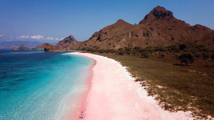 PANTAI- Pink Beach di Labuan Bajo, Flores, Nusa Tenggara Timur. (TRIBUNFLORES.COM/HO-INDRA SEPTIAN AZHARI)