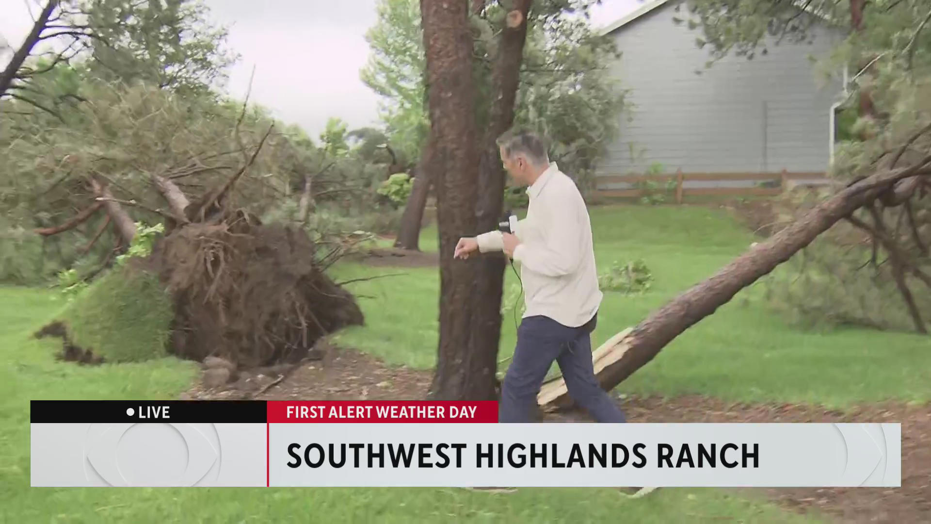 Several Downed Trees Among Tornado Damage In Highlands Ranch