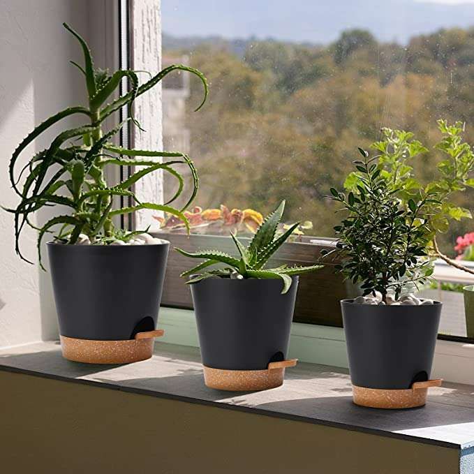 elige la maceta perfecta para las plantas de interior en hogar