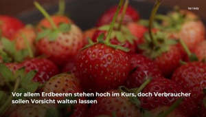 Pünktlich zum Sommer: Pestizidskandal um Erdbeeren