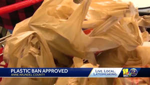 Anne Arundel County Council votes to ban plastic bags