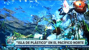 La "Isla de Plástico", en el océano Pacífico norte, es una zona que está cubierta de desechos de plástico.