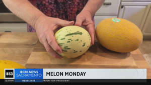 Lunch Break: Melon Monday