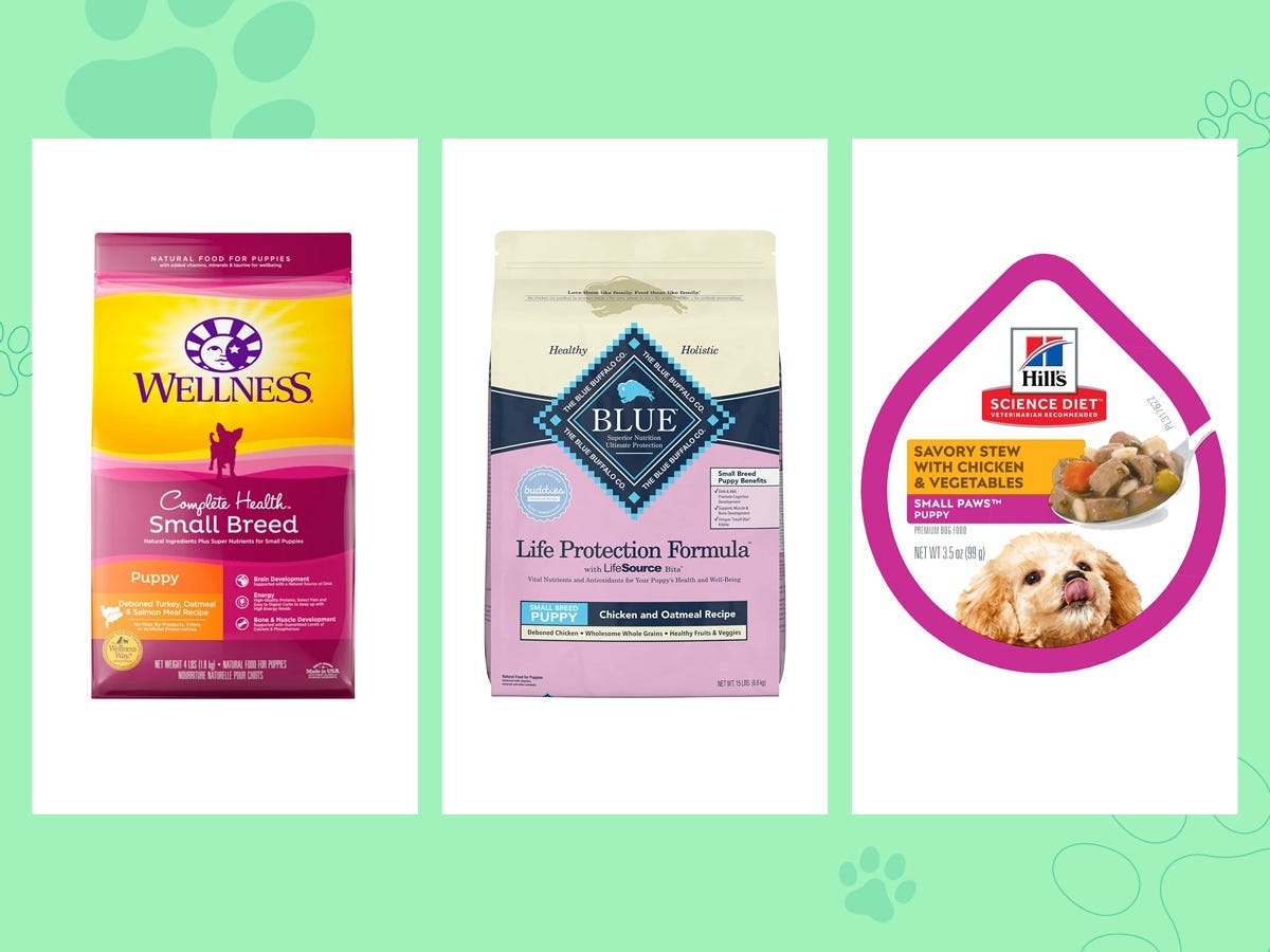 The best dog food for small dogs of 2024