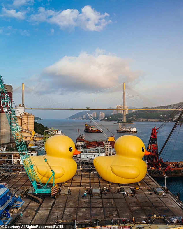 The pair underwent sea trials Victoria Harbour near Tsing Yi island at the end of May, prior to the June 10th official exhibition opening which will see the ducks sail around Hong Kong for two weeks