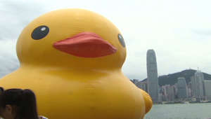 Watch CNN’s report on Hong Kong’s rubber duck in 2013