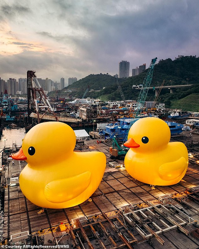 But ten years after Dutch artist Florentijn Hofman's giant 'Rubber Duck' sculpture made waves by appearing in Victoria Habour, the rubber toy is back - and this time with a new friend