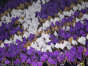 Fiorentina fans put on a show at the Coppa Italia final
