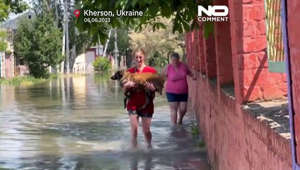 Operação de salvamento de animais domésticos na inundada Kherson