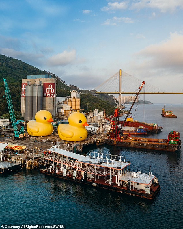 The two bright yellow inflatable ducks sailed into the harbour to undergo their sea trials ahead of Hofman's new exhibition 'Double Ducks' this weekend