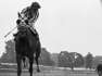 Fifty years ago, Virginia's own Secretariat made horse racing history