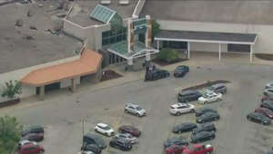 Apparent chase on Dan Ryan Expressway leads to search at Calumet City mall
