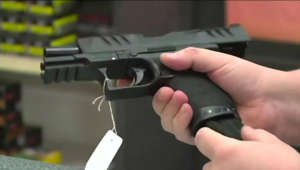 Manatee County votes to allow employees to carry concealed firearms at work