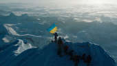 See the moment Ukrainian climber proudly waves flag at the top of Everest