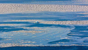 L'Arctique pourrait être privé de glace de mer dès les années 2030, alerte une nouvelle étude