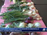 $50 vouchers handed out to seniors in Greenville County to buy fresh produce