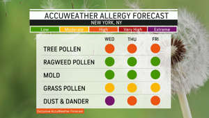 Here's your allergy outlook for June 7