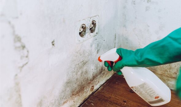 tory mp calls for tougher damp and mould regulations for housing providers