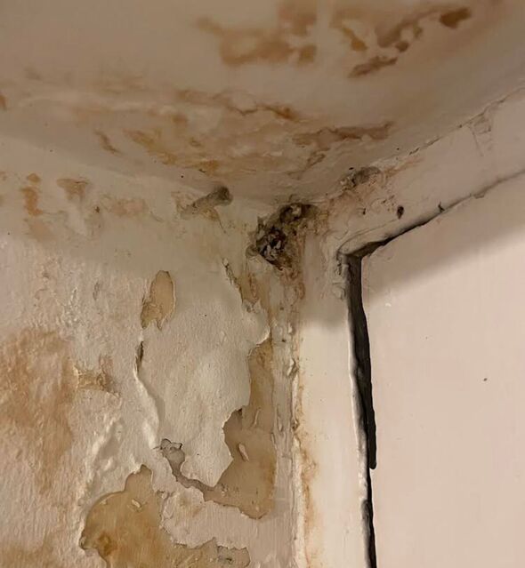 tory mp calls for tougher damp and mould regulations for housing providers