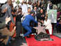 Le rappeur américain Tupac Shakur a été récompensé mercredi 7 juin 2023 d'une étoile sur le "Walk of fame" d'Hollywood