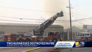 2-alarm fire destroys two Cockeysville businesses