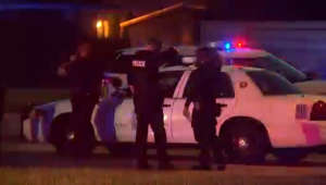 Denver police investigates officer-involved shooting near Forest Street