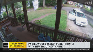 Bill would target porch pirates with new mail theft crime