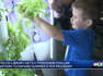 Southern Indiana library expanding program that teaches kids about growing food