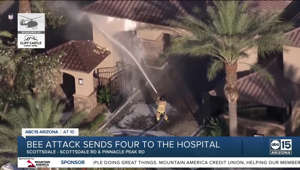 Phoenix firefighter taken to hospital after bee attack in Scottsdale, 3 others hurt