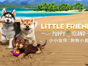 模拟宠物养成新作《小小伙伴：狗狗小岛》预购特典内容正式公开！