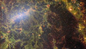 James Webb Space Telescope Reveals A Cosmic “Treasure Trove”